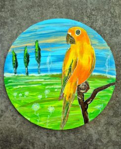 Papagei – Meine Magie